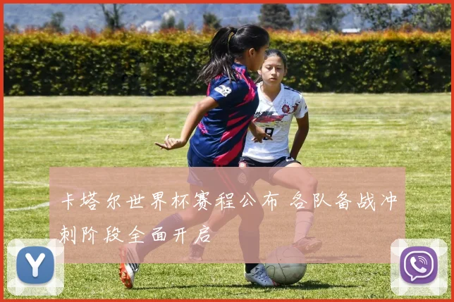 卡塔尔世界杯赛程公布 各队备战冲刺阶段全面开启