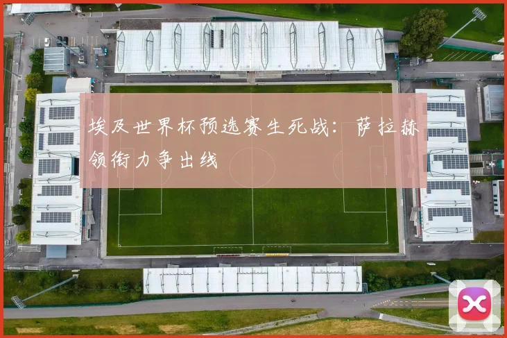 埃及世界杯预选赛生死战：萨拉赫领衔力争出线